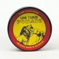 lion tamer 6.jpg