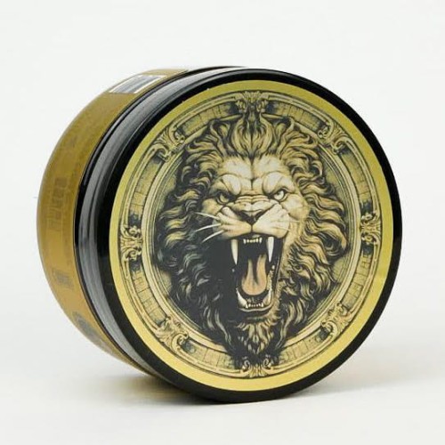 wb lion tamer 6.jpg